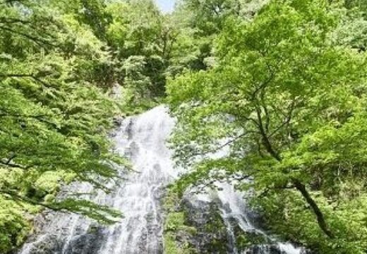 福井県のイメージ画像