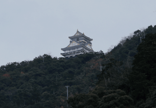 愛知県のイメージ画像